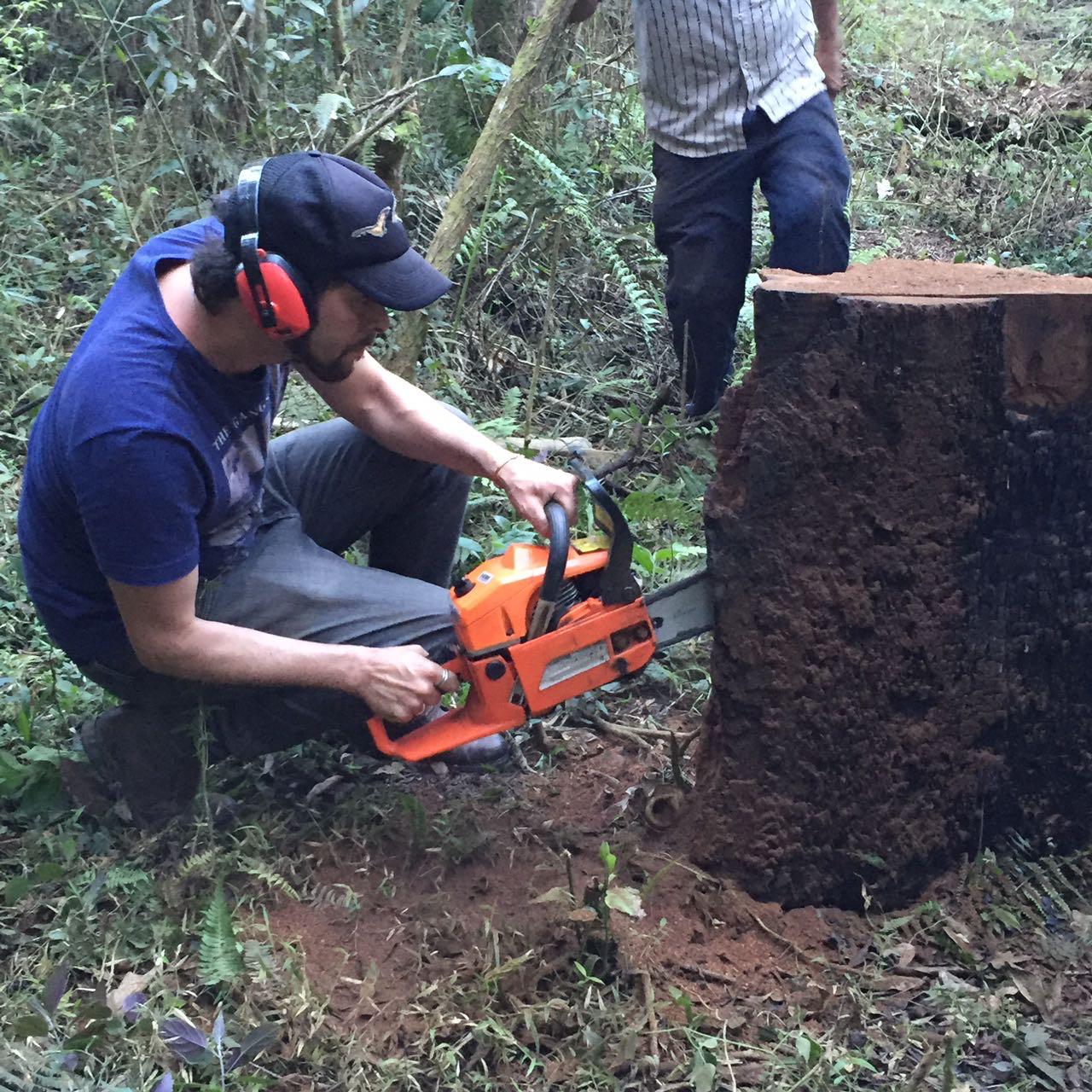 Max cortando uma peça de madeira
