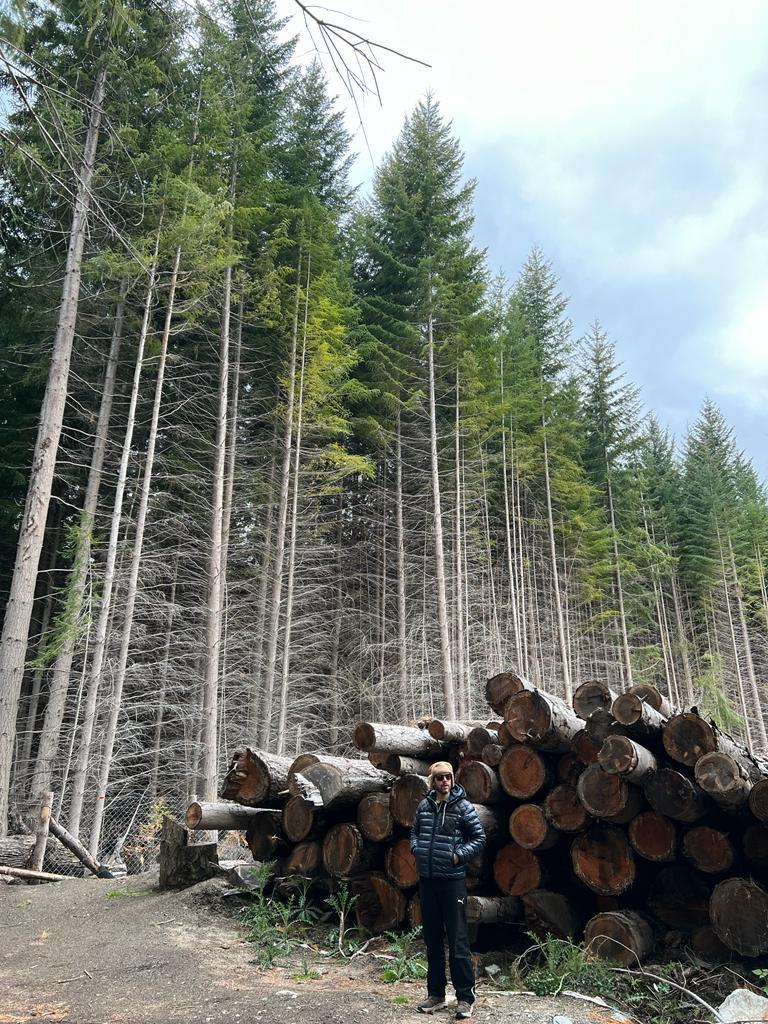 Max diante de troncos de madeira em uma floresta