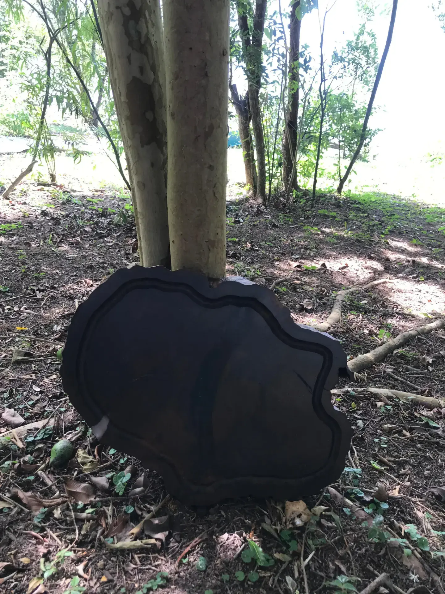 Tábua de madeira escura com contorno orgânico