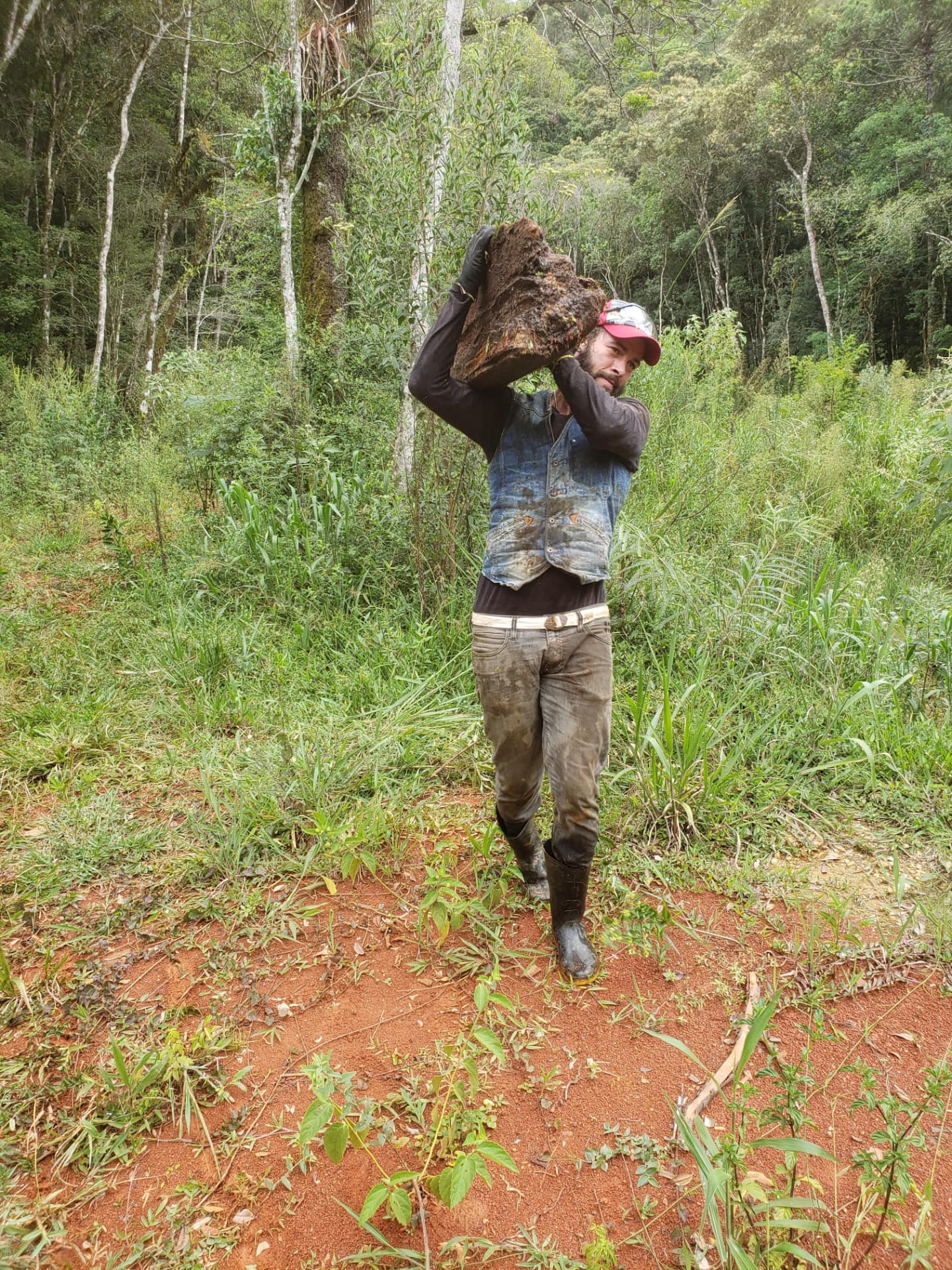 Max carregando uma peça de madeira