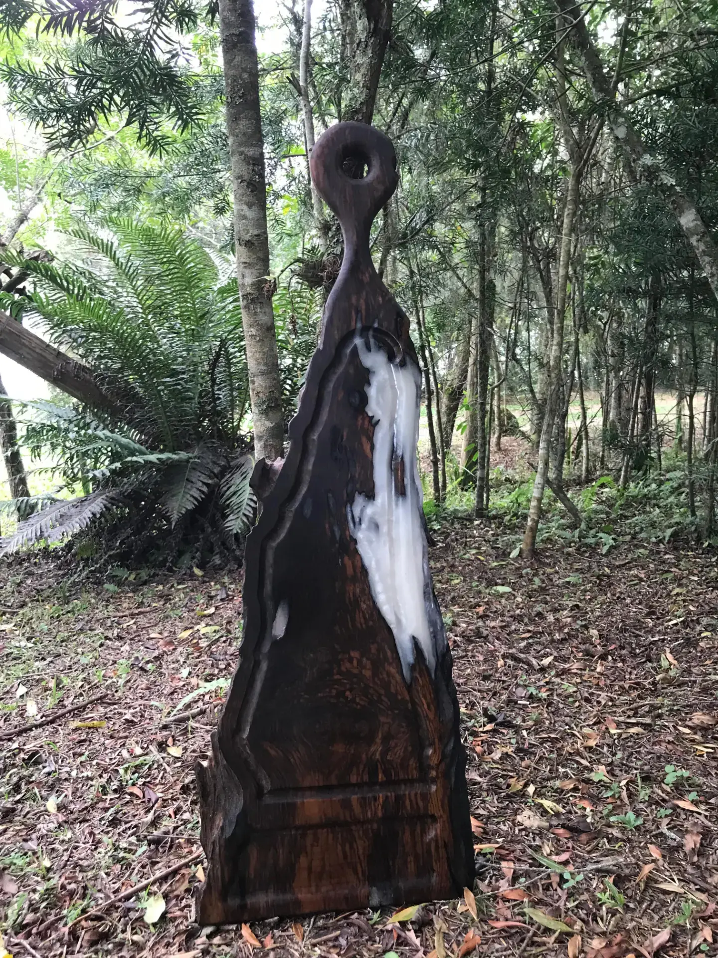 Tábua vertical de madeira com forma orgânica em ambiente natural