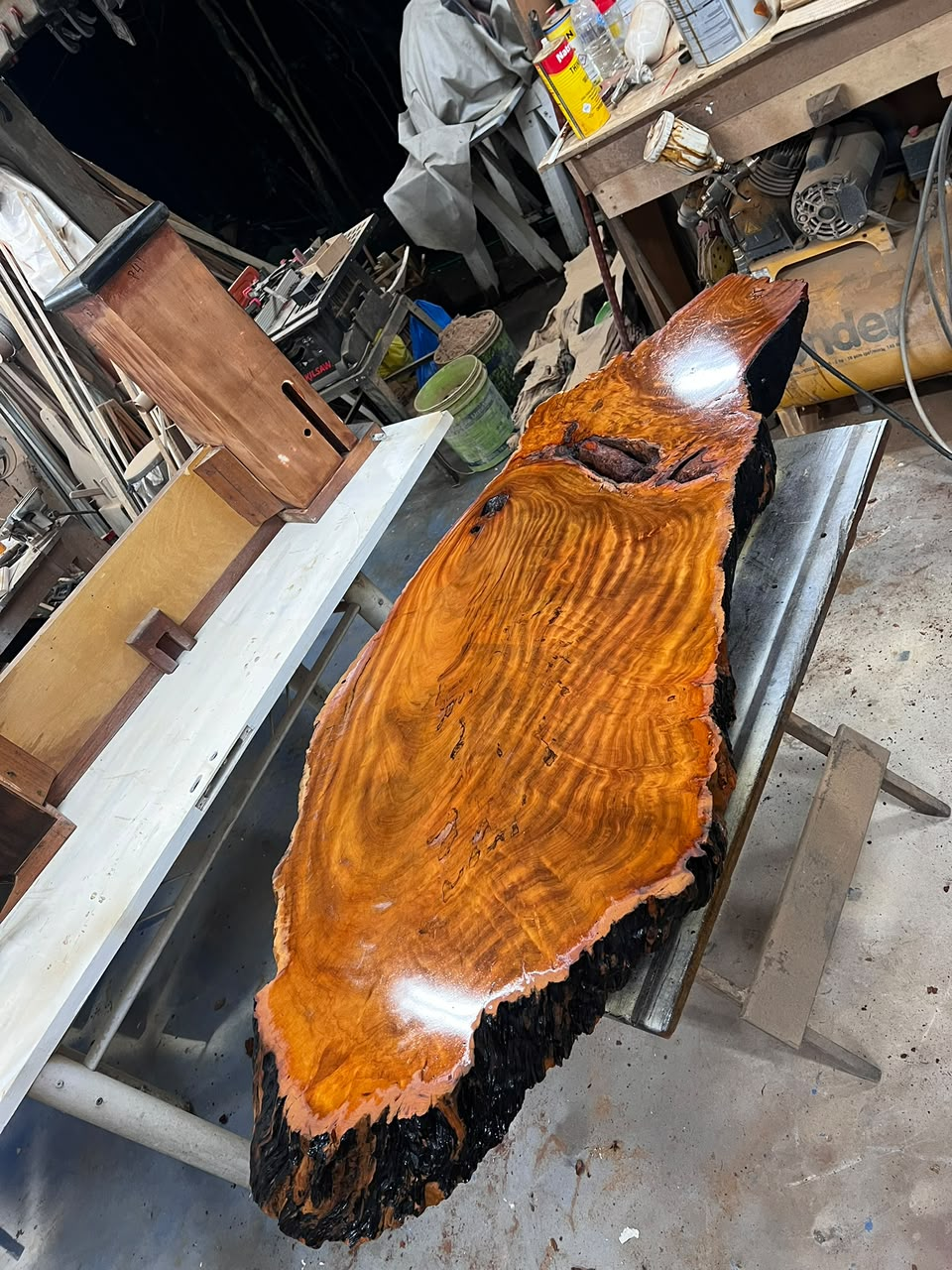 Tábua orgânica em madeira durante o acabamento