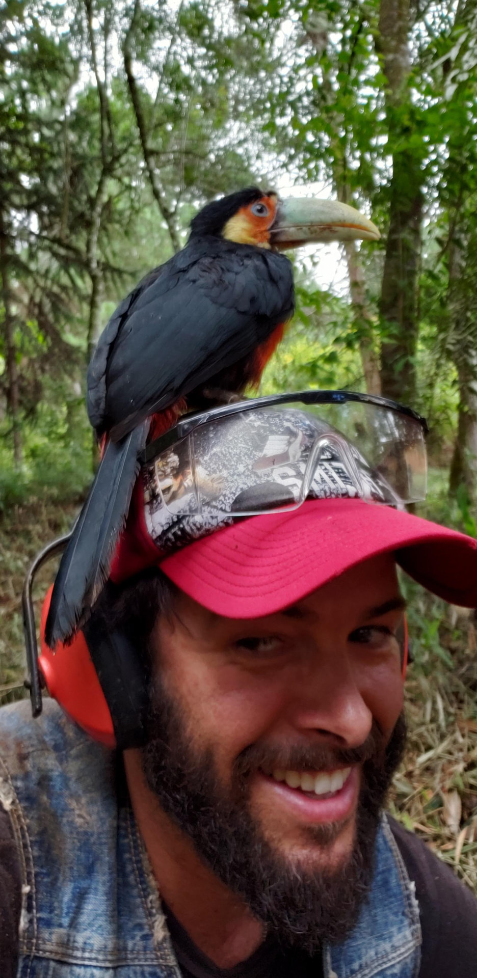 Max na mata com um tucano